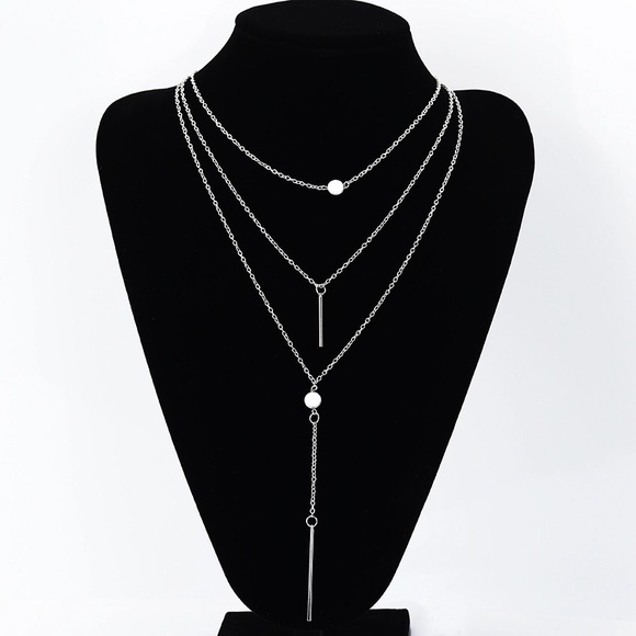 ▪️Pretty Penny▪️Silver Multi-Layer Necklace - Picture 2 of 5